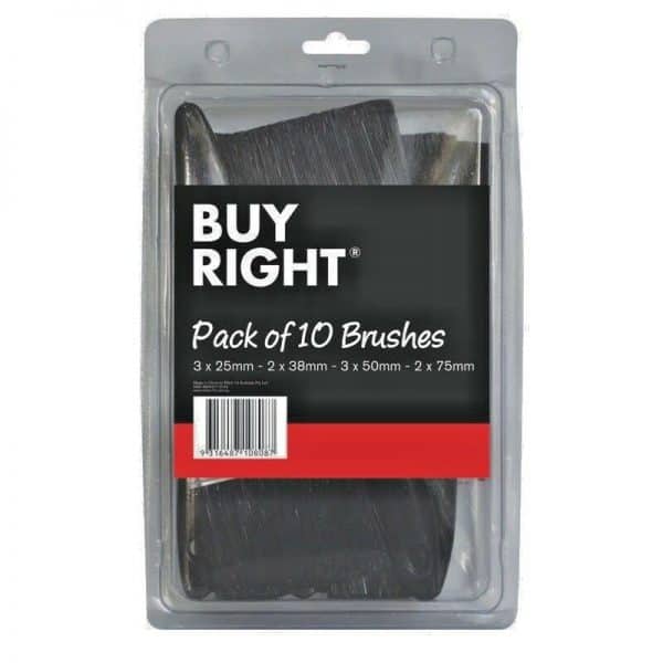 Pack of Buy Right 10 Pieces Paint Brush Set