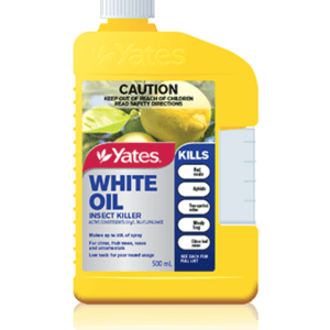 Yates White Oil