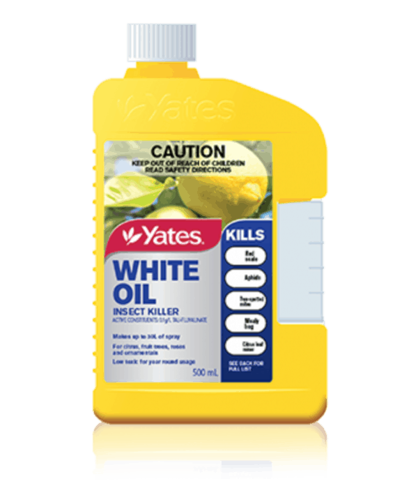 Yates White Oil