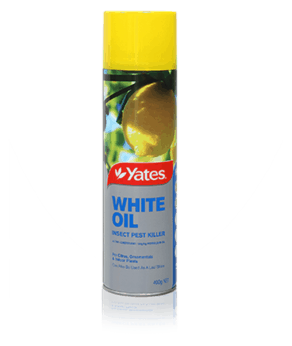 Yates White Oil Insecticide 400gm Aerosol