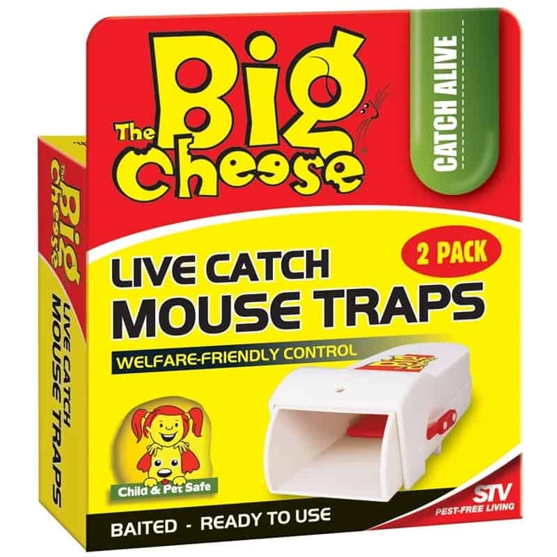The Big Cheese - Heavy Duty Baited Mouse Trap - 2 Pack