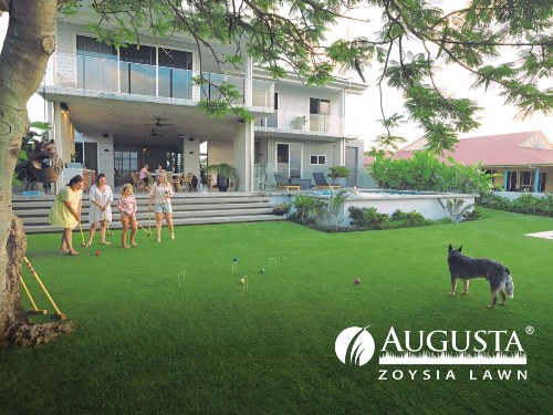 Augusta-Zoysia-Lawn-09-Australian-Lawn-Concepts-14-1