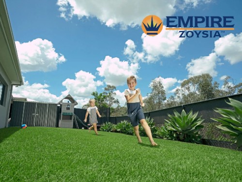 Empire-Zoysia-lawn-11-Australian-Lawn-Concepts-14