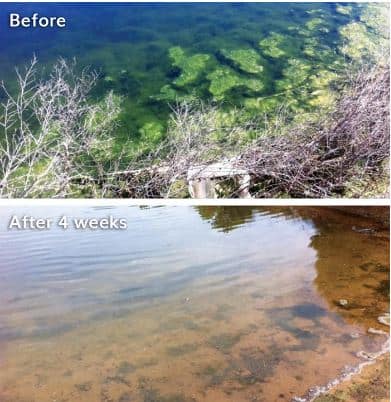 Before and after pictures of a dam after using Splosht