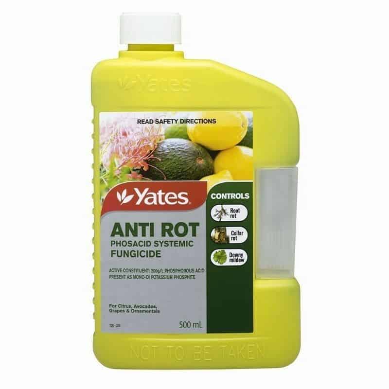 buy anti rot fungicide