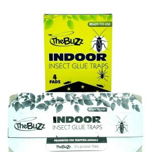 Indoor Insect Glue Trap - TheBuzz