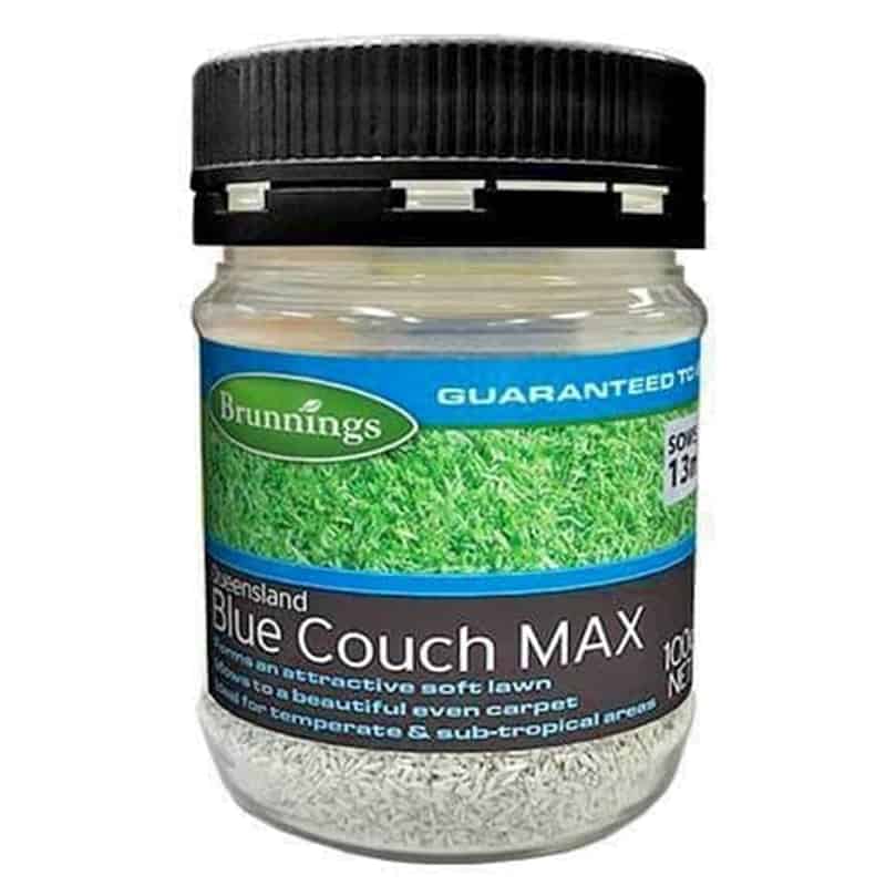 Queensland Blue Couch Max Lawn Seed 100G Brunnings