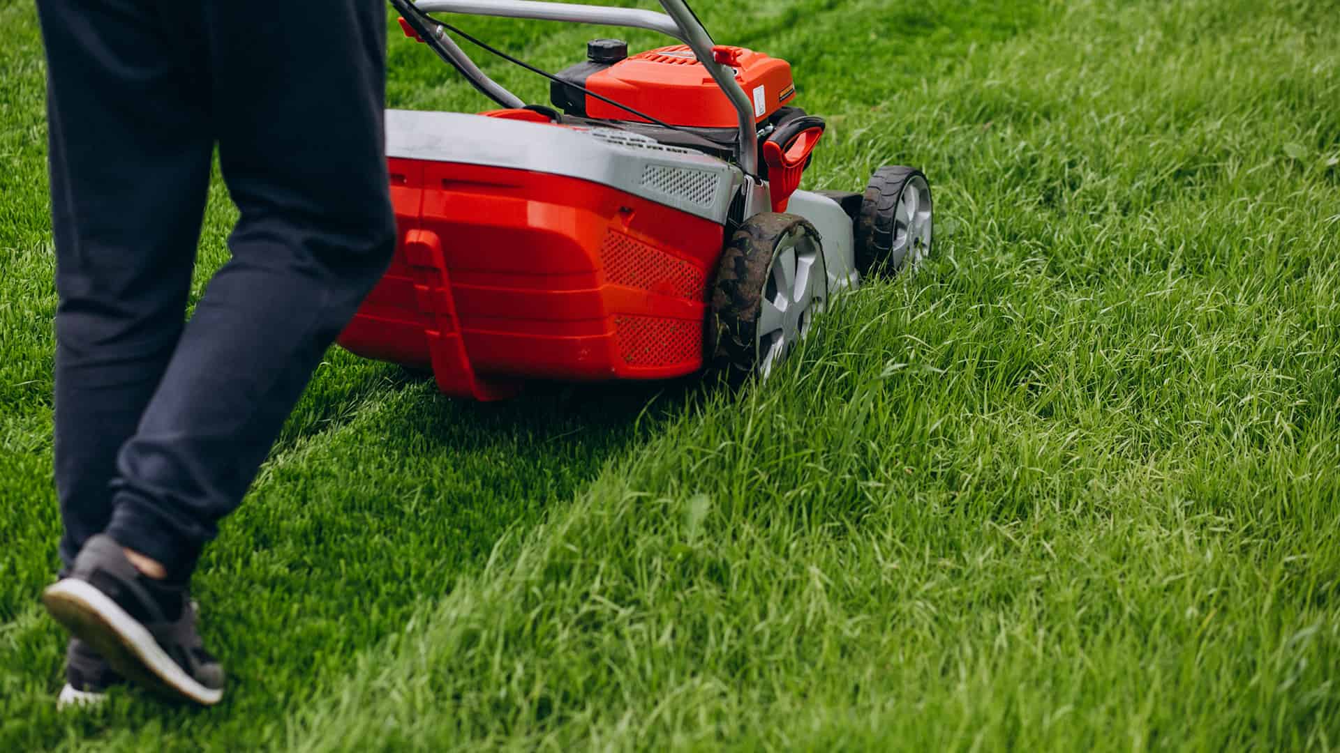 How to become a Lawn Mower Master?