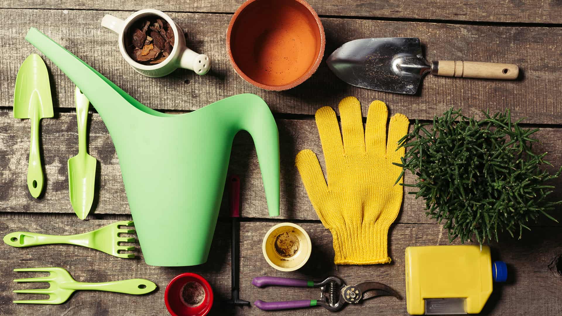 Are you using the right garden tools?